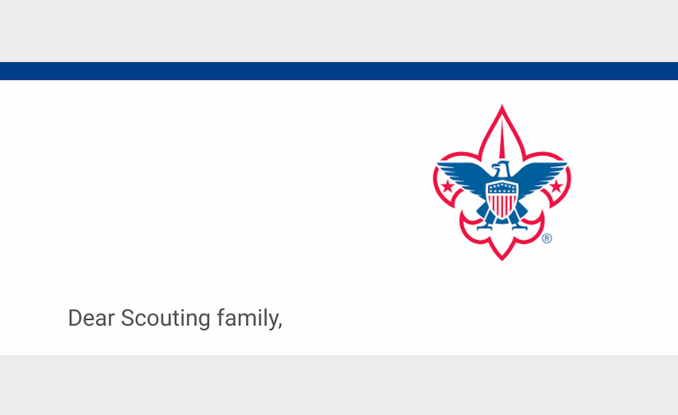 Boy Scouts Hacked?