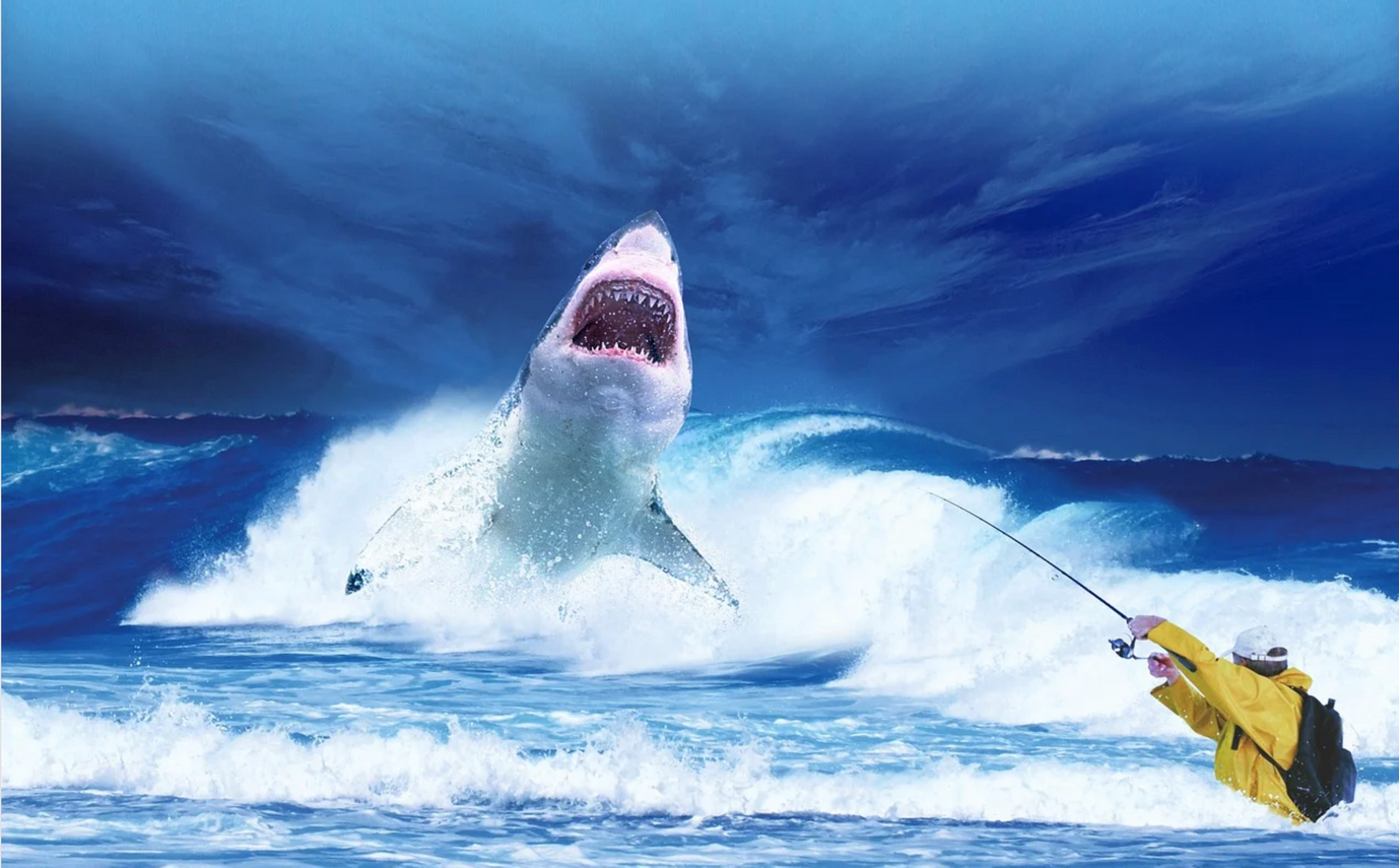 Security Awareness and The Spam Problem